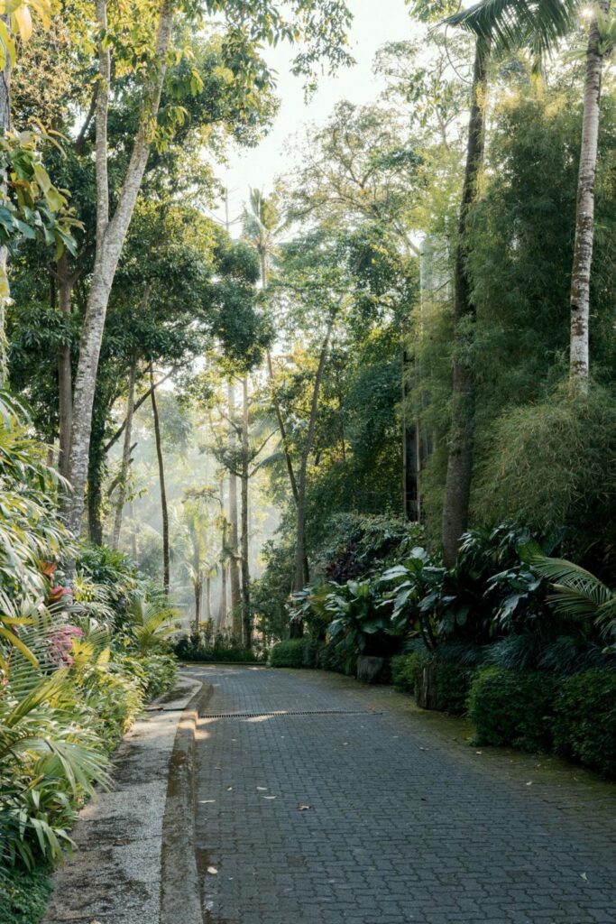 Package Tour Bali 1 Days Ubud